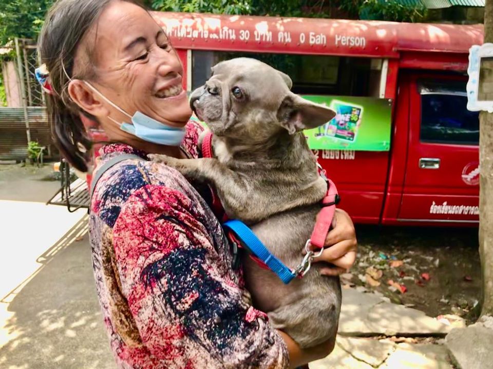 Great news – Pugsy found a new home