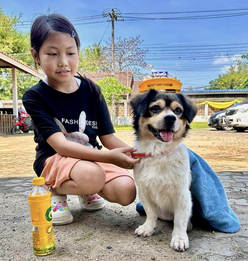 Dog and Cat Spay Day – 54 Spays