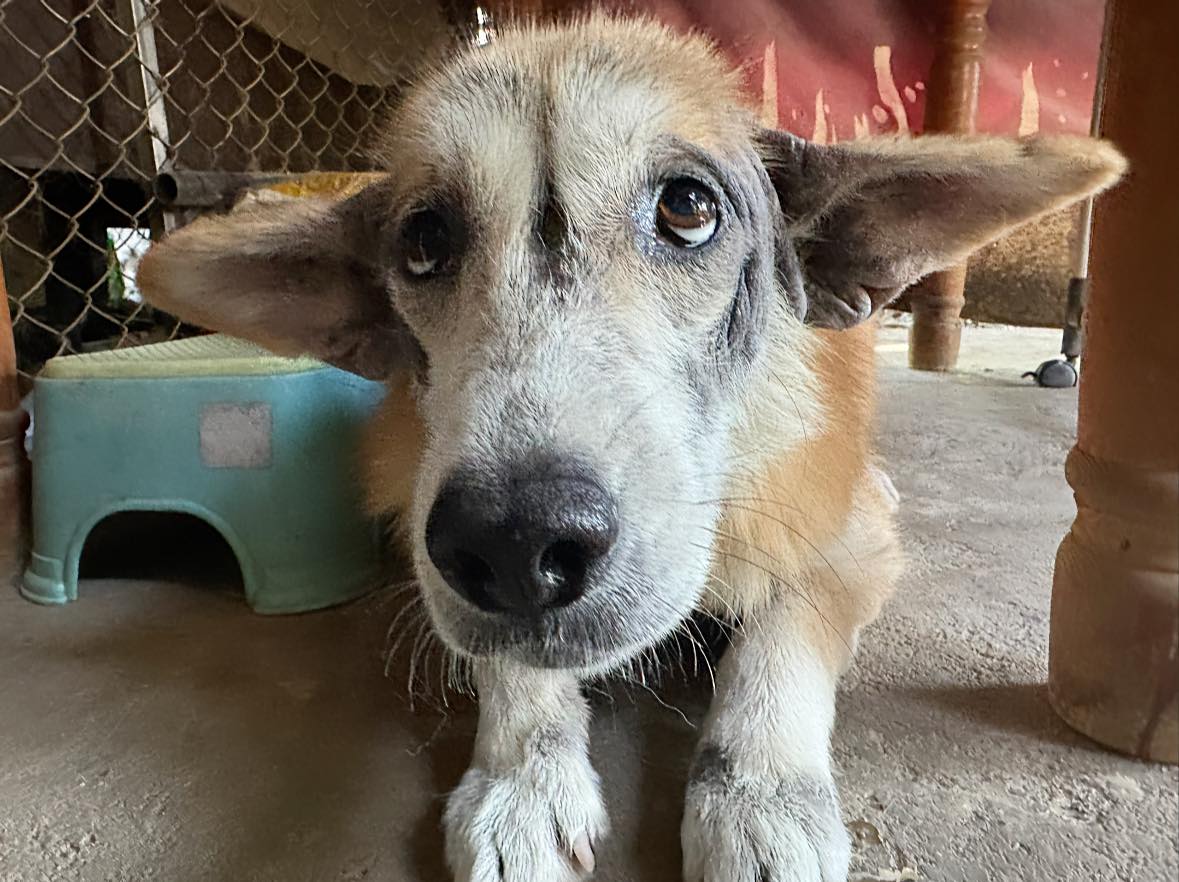 Oh my goodness, heβs adorable!