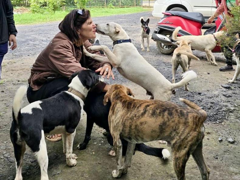 Parvo Virus Recovery News