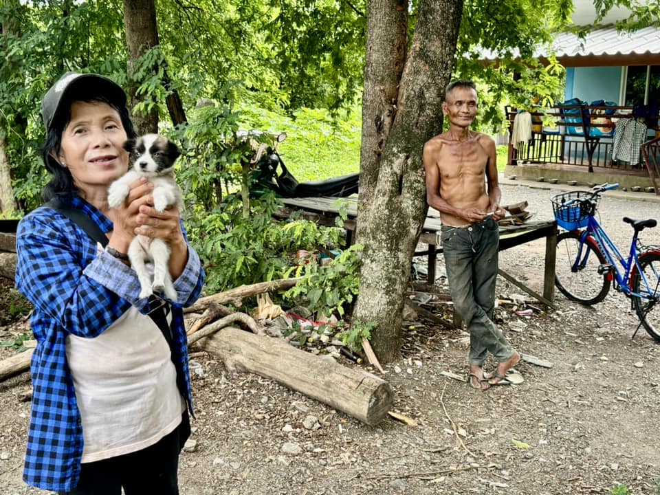 my typical day caring for dogs