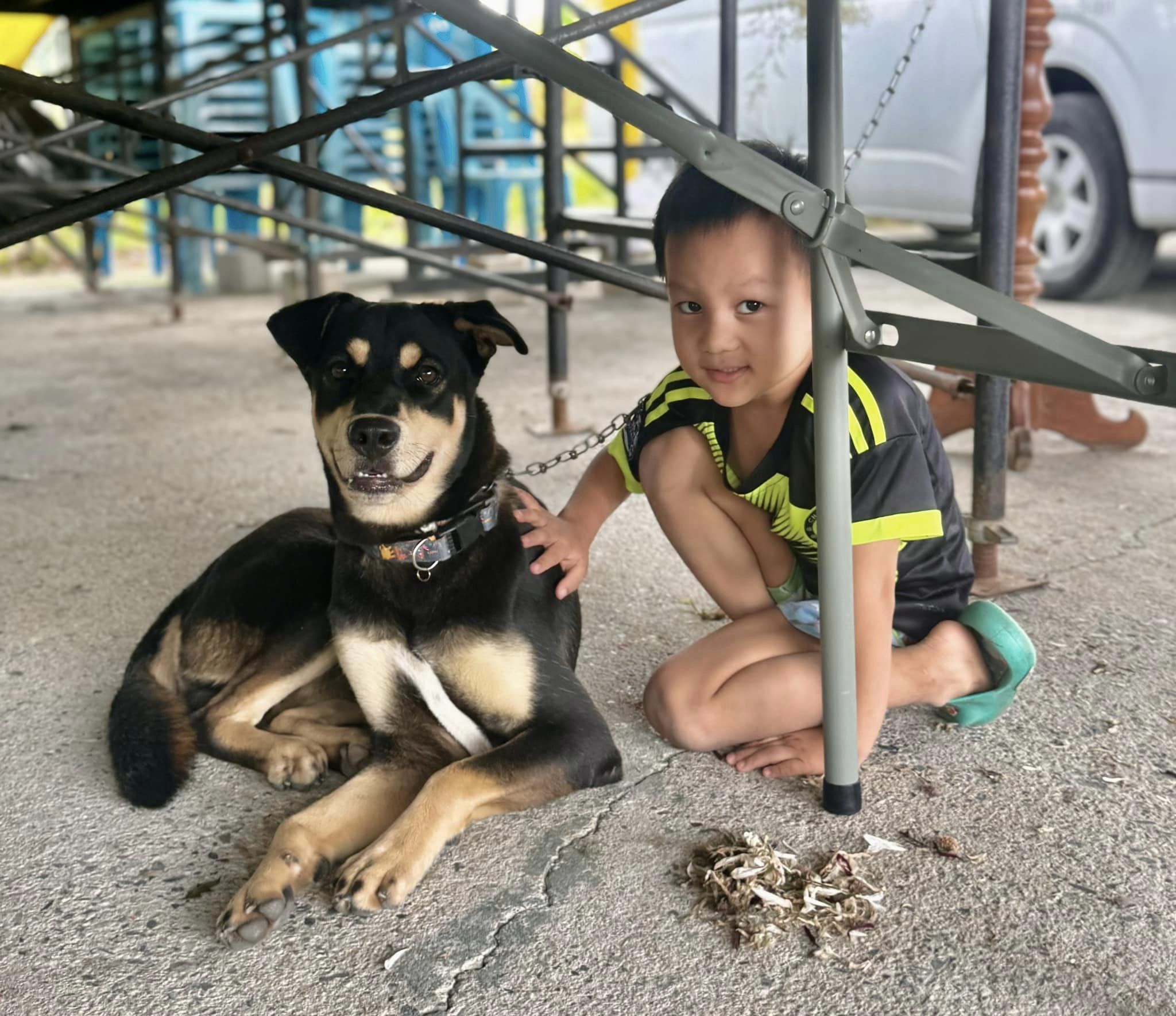 Spay Day San Khampaeng – 101 Spays