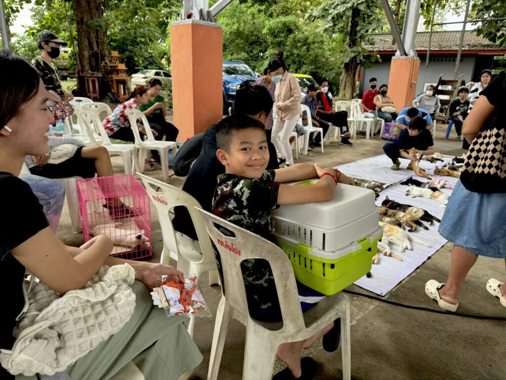 Chiang Mai Spay Project – Hand to Paw Thailand Helping the Community