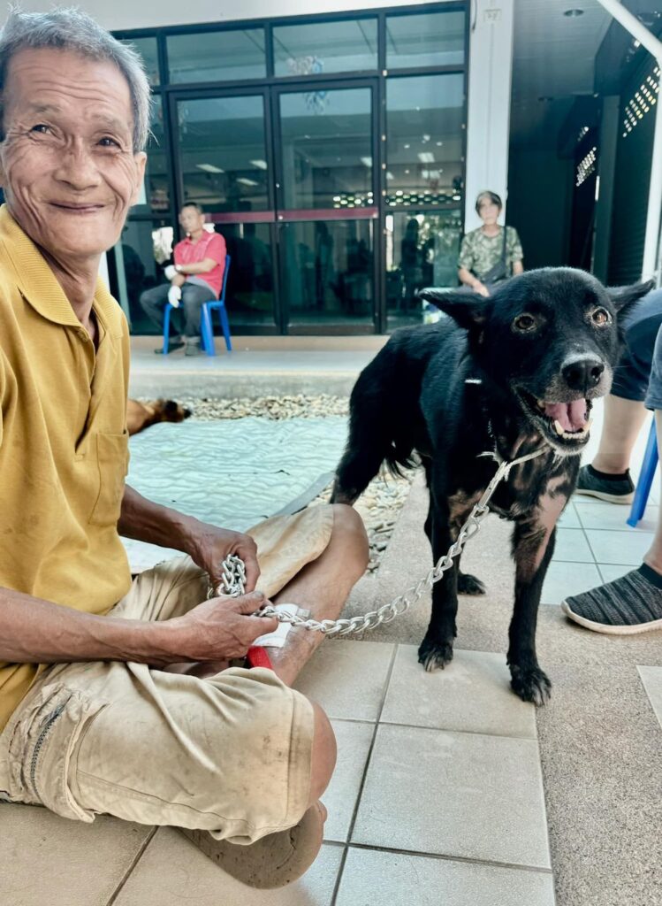 Another Successful Spay Day in Chiang Mai