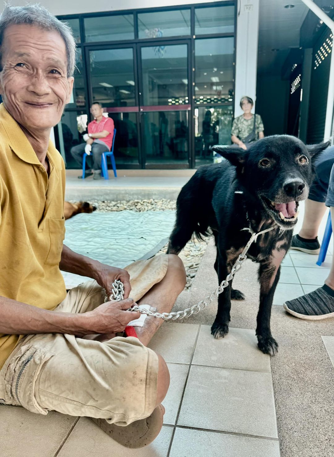 Another Successful Spay Day in Chiang Mai