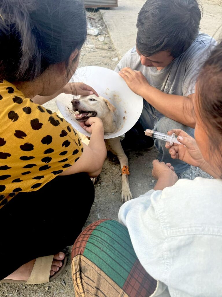 Coco's blood parasite damage is severe