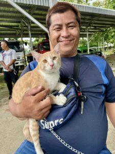 Chiang Mai Spay Project - Hand To Paw Thailand Helping The Community