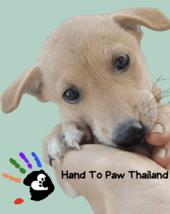 2025, Looking Forward, Looking Back