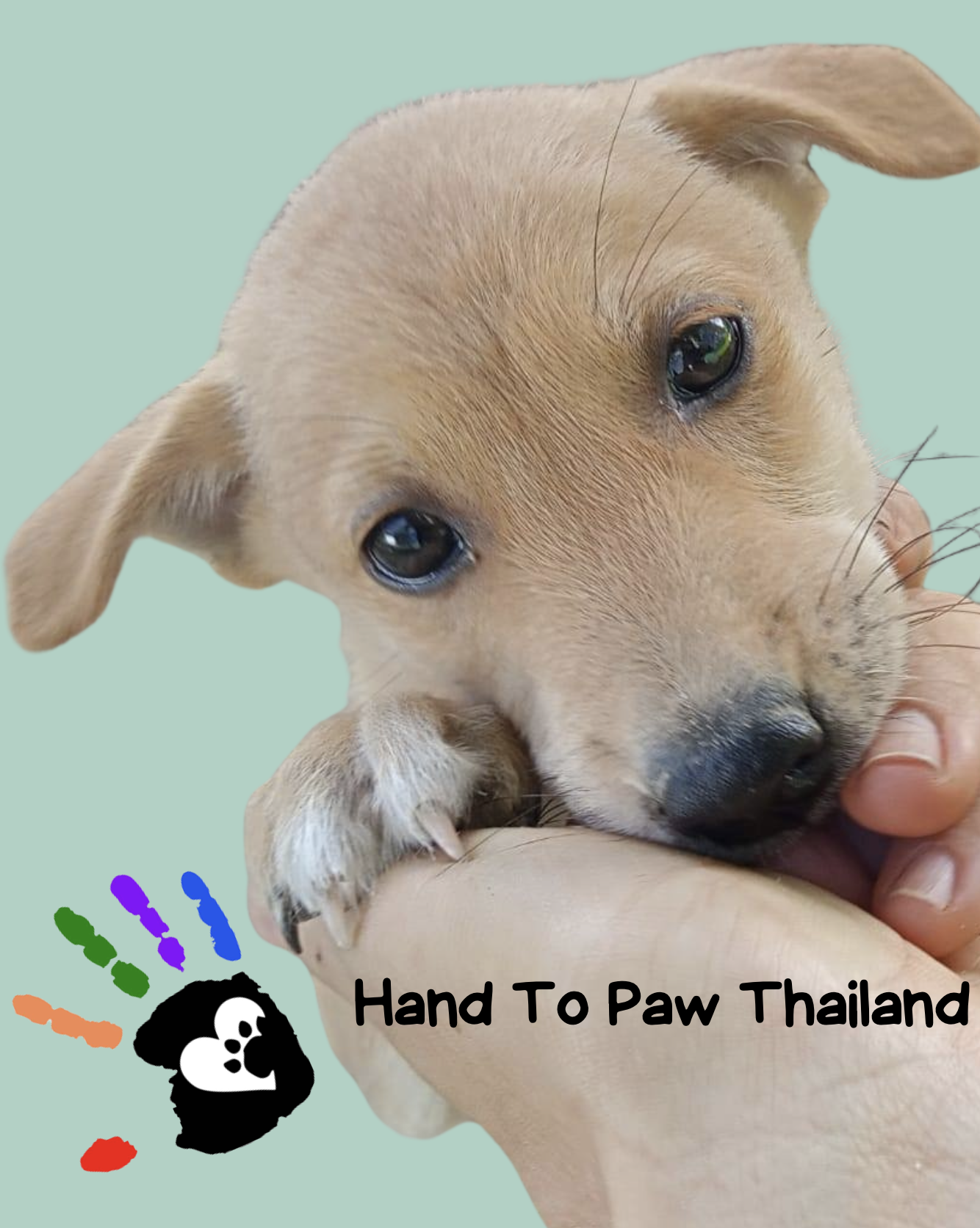 2025, Looking Forward, Looking Back